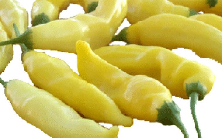 Aji Hot Lemon