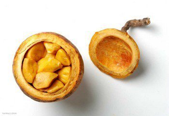 Fruit of the madd vine, <em>Saba senegalensis</em> cut open to display the seeds and pulp within