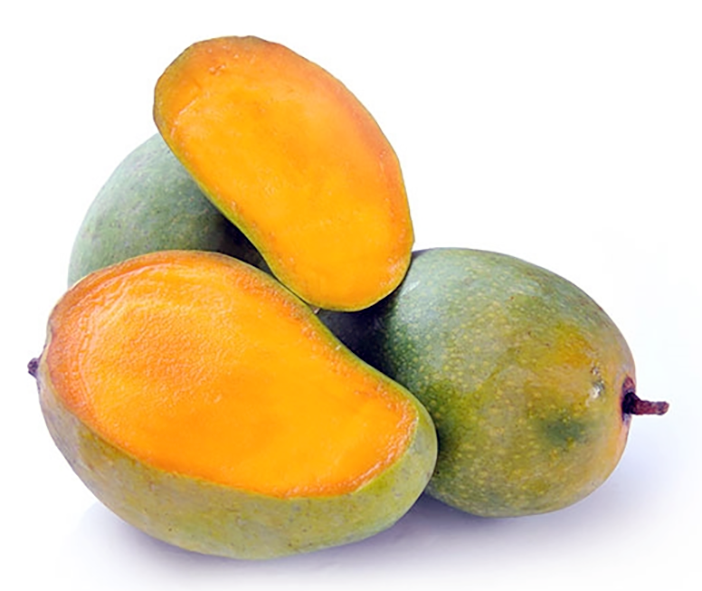 Malda Mangoes, the fruit of the Langra mango <em>Mangifera indica</em>, shown as ripe fruit with one sliced open.