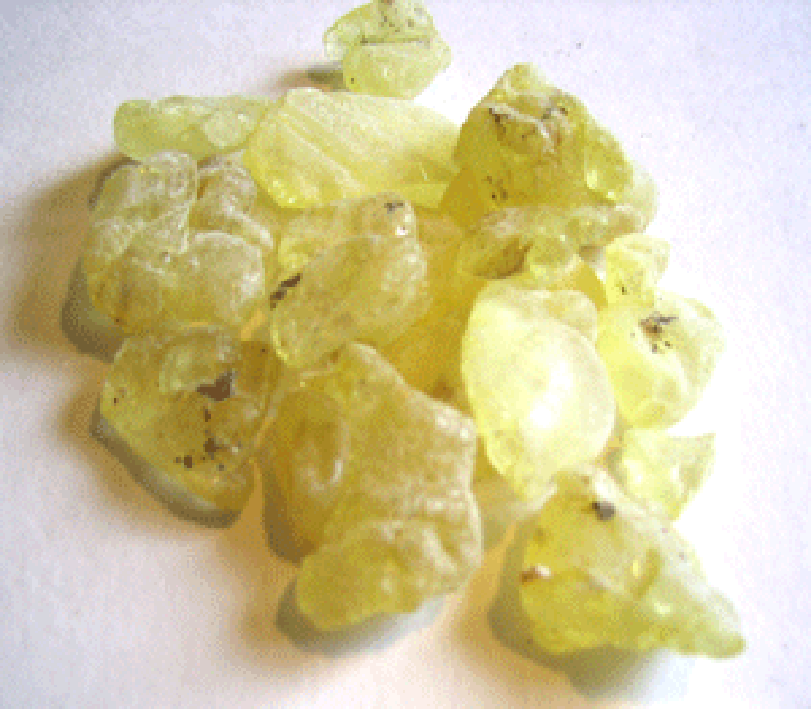 12 pieces of mastic gum on a white background