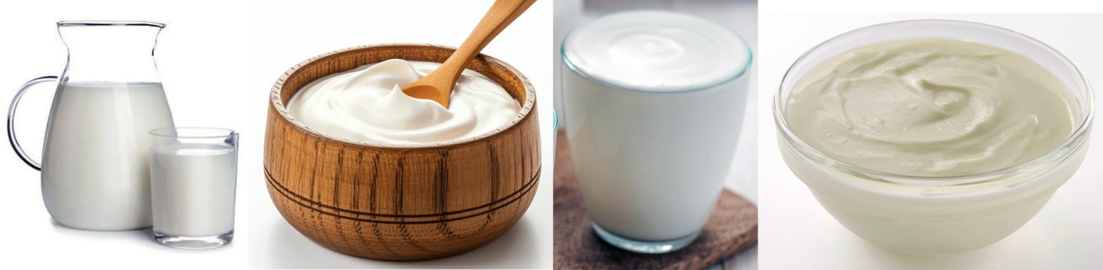 Milk, cream, kefir and yoghurt.