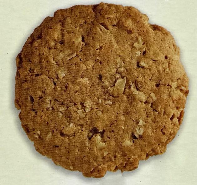 single oaty crumble biscuit against a pale green background