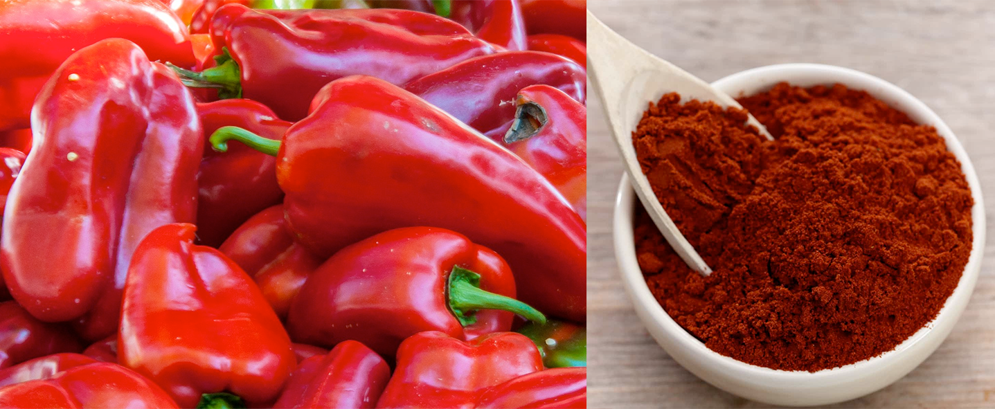 Fresh paprika peppers and dried sweet paprika powder