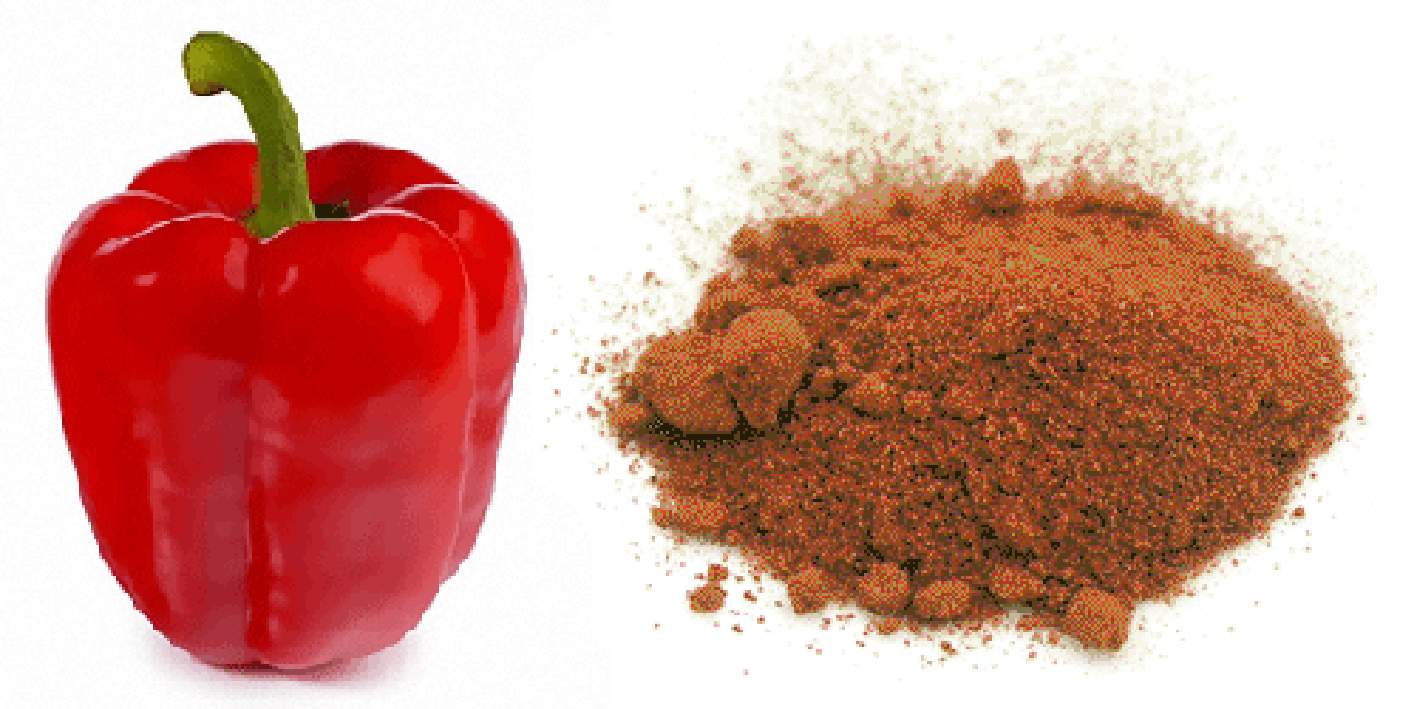 Paprika Chilli and ground paprika