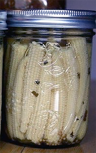 whole baby corn in a pickling jar with spiced vinegar