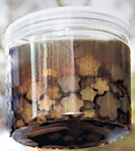 Pickled bramble tip pieces in vinegar contained in a jar