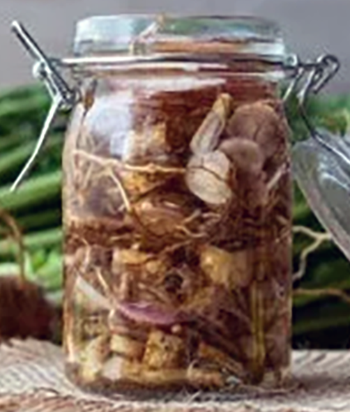 sliced evening primrose roots in a click-top jar with white vinegar