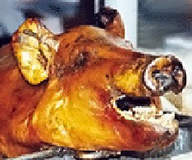 Pig