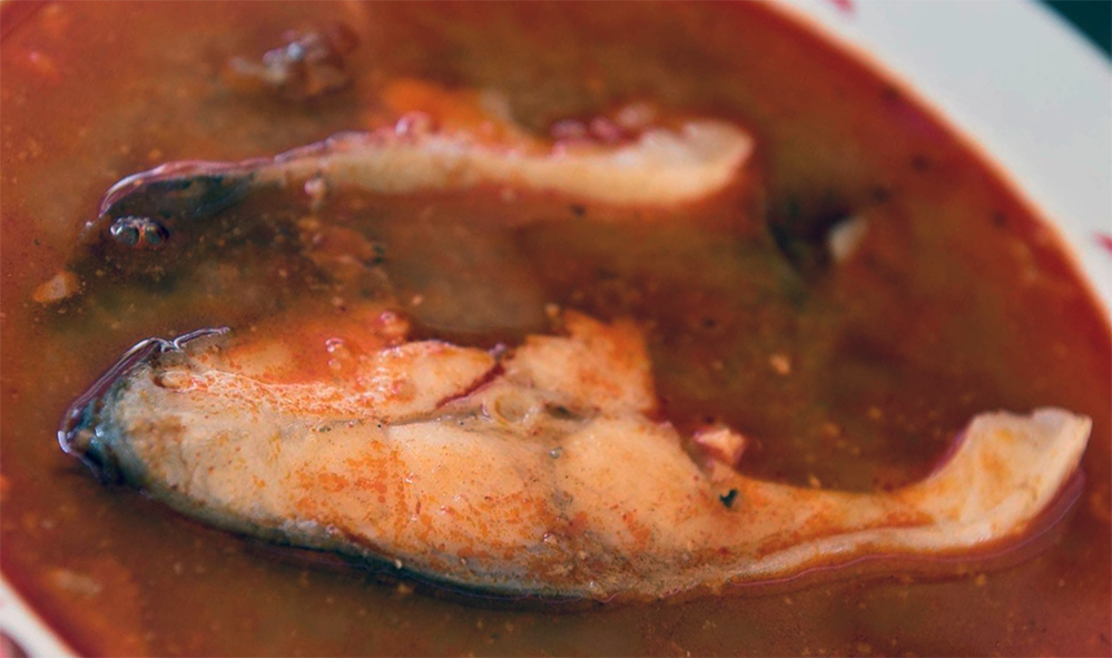 carp steaks served in a tomato-based sauce