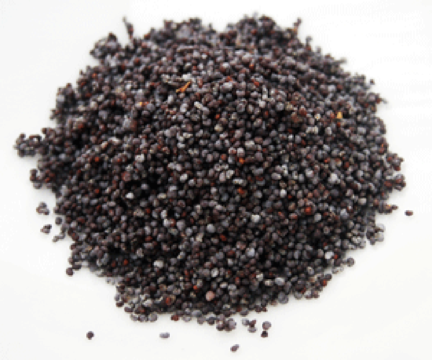 Pile of poppy seeds