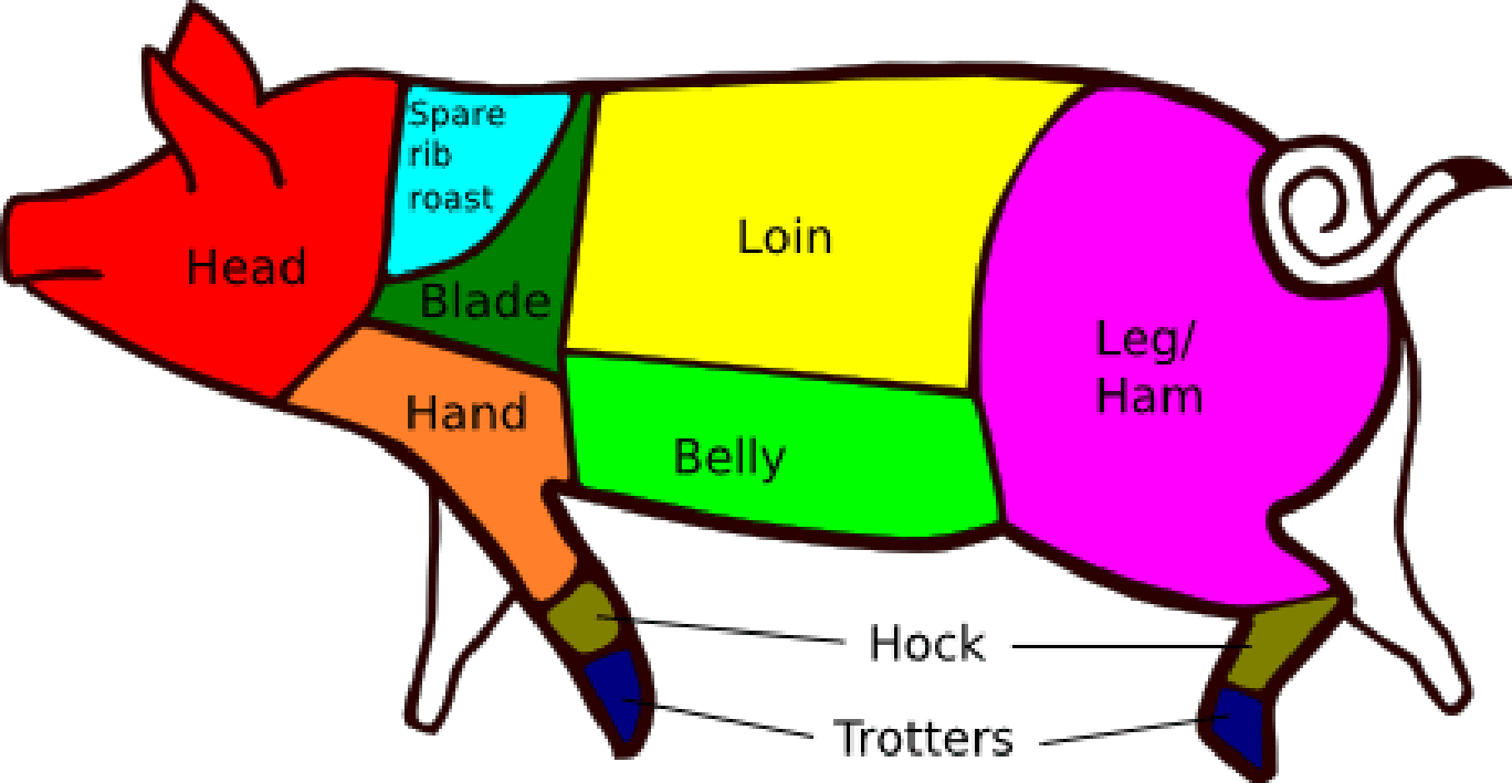 Drawing of pig with the main pork cuts indicated and the loin in yellow
