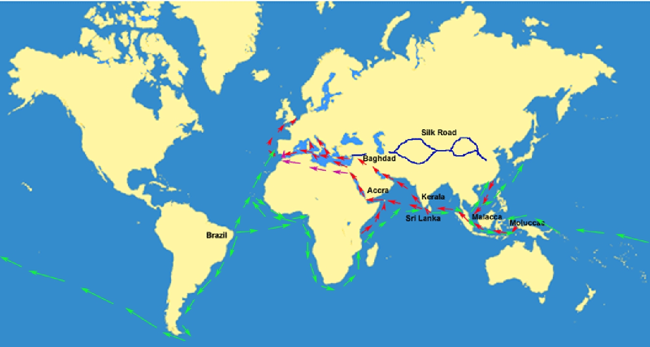 Portuguese voyages of discovery