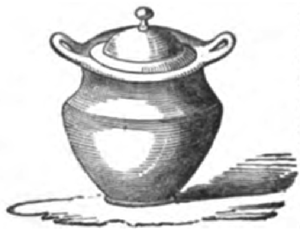 Eliza Acton French pot-au-feau for bouillon