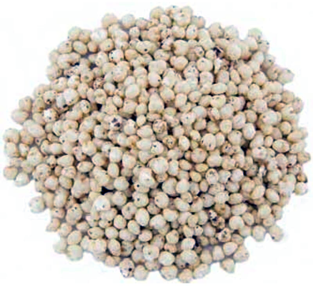 puffed millet grains against a white background