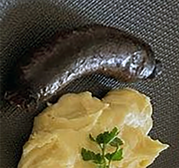 black boudin sausage served with a puree of bambara groundnuts