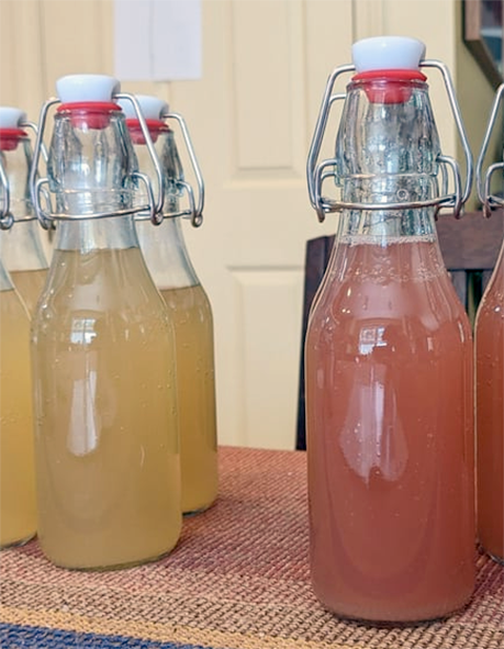 bottles of pink and white rhubarb ginger beer on a counter top