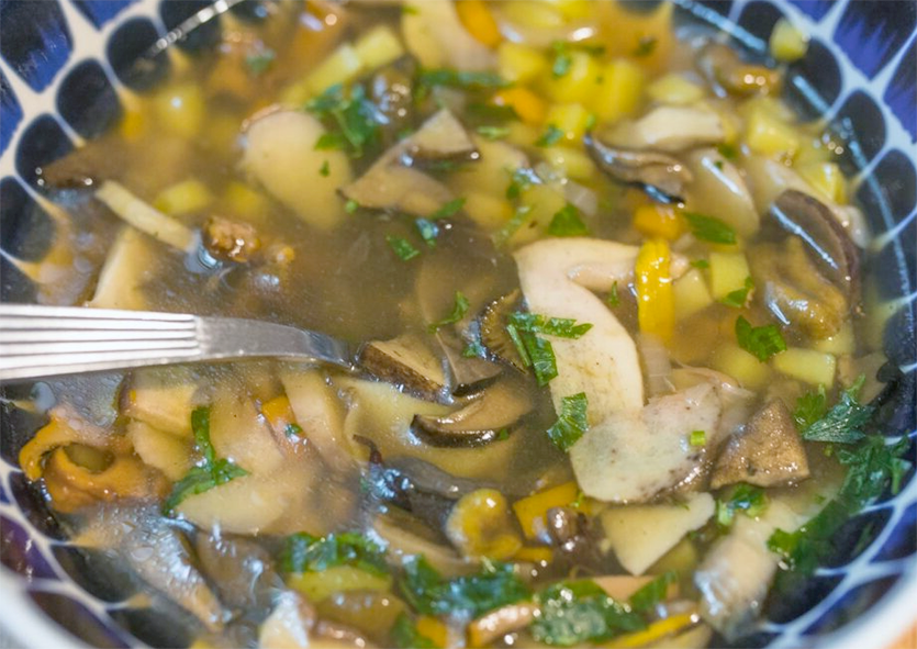 mixed mushroom soup with scarlet bolete presented in a blue-patterned bowl