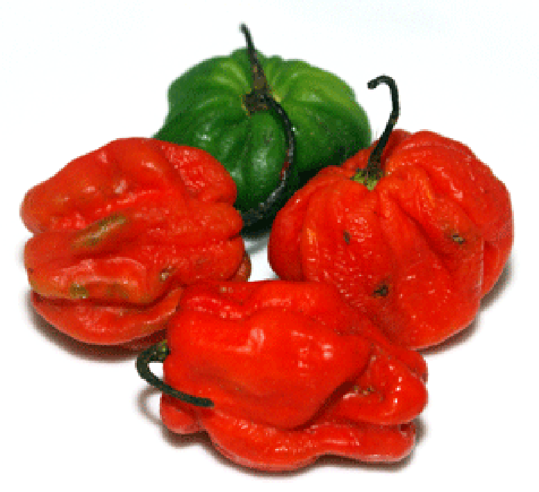 Green and Red Scotch Bonnet Chillies