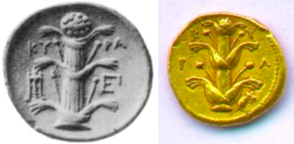 Sylphium/Laser depicted on Cyrenian coins.