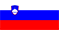 The Flag of Slovenia.