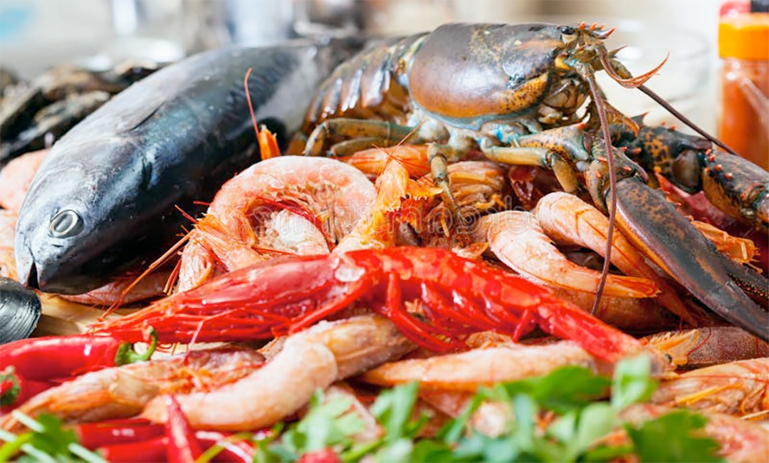 Still Life Photograph of mixed Fis and Seafood.