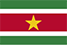 The Flag of Suriname.