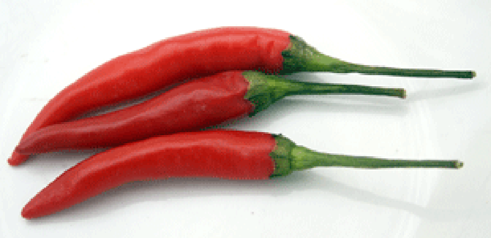 Two Three Birdseye Chillies