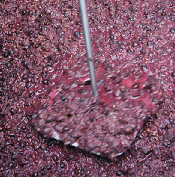 Vat of wine must